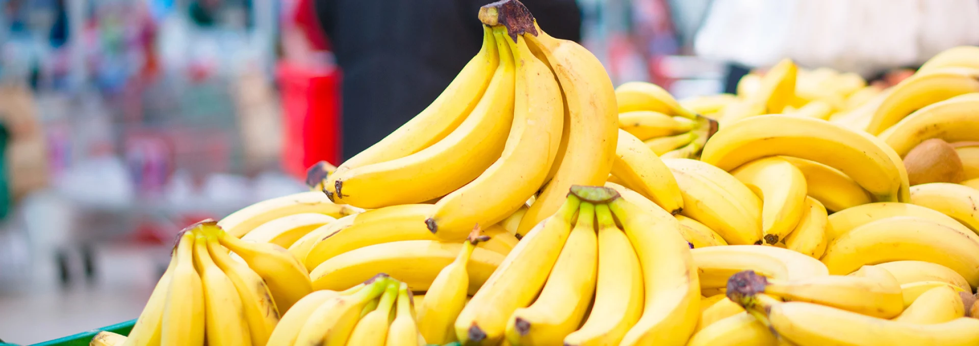 cold chain solutions companies