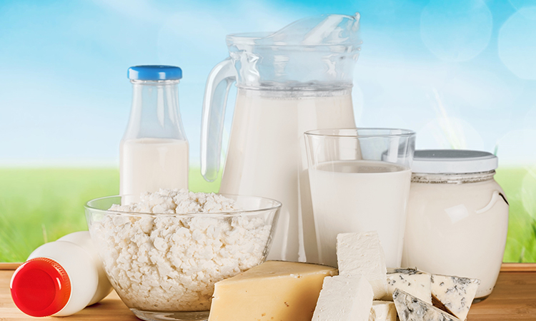 Dairy Products