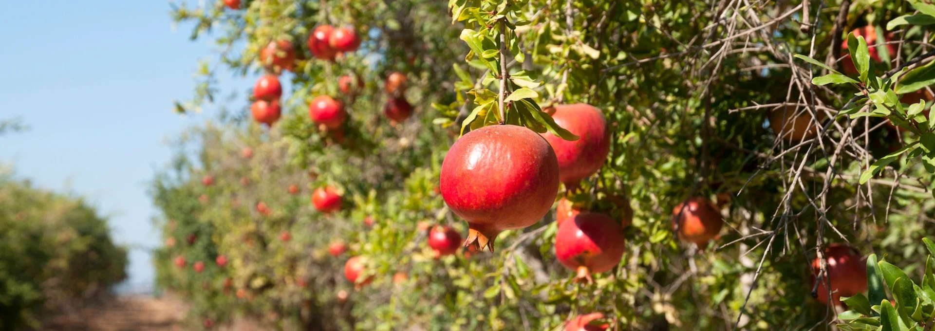 cold storage solutions