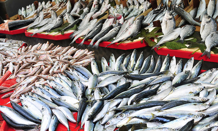 Proteins (Fish and Meat)