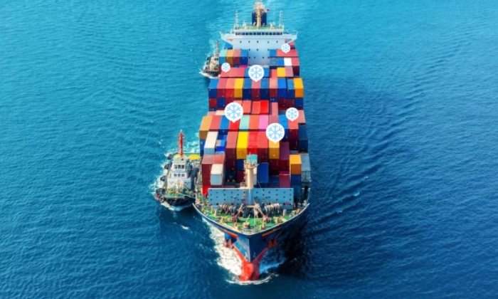 cold chain shipping solutions