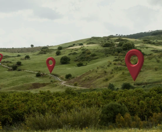 road freight services