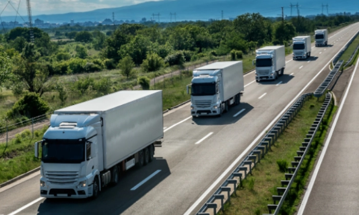 cargo transportation services